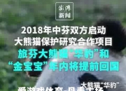 爱游戏体育-丹麦主场轻取芬兰，提前锁定晋级资格