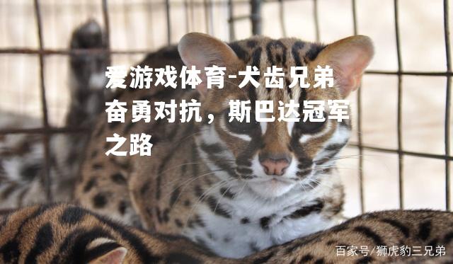 犬齿兄弟奋勇对抗，斯巴达冠军之路