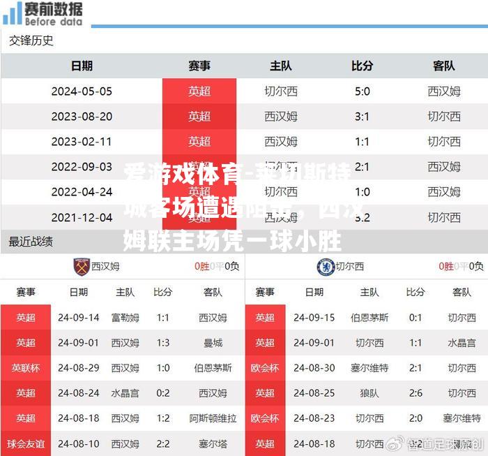 莱切斯特城客场遭遇阻击，西汉姆联主场凭一球小胜