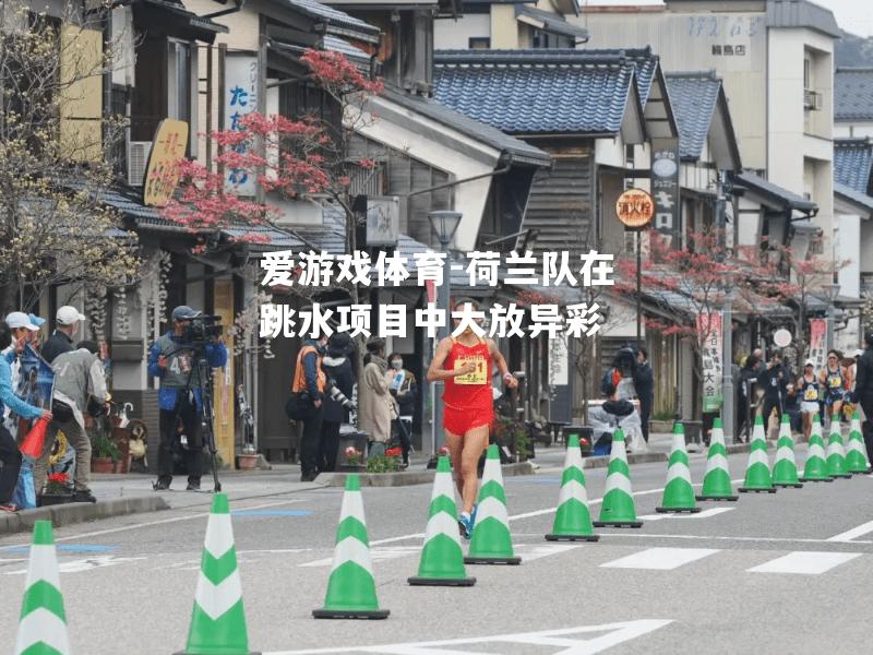 荷兰队在跳水项目中大放异彩